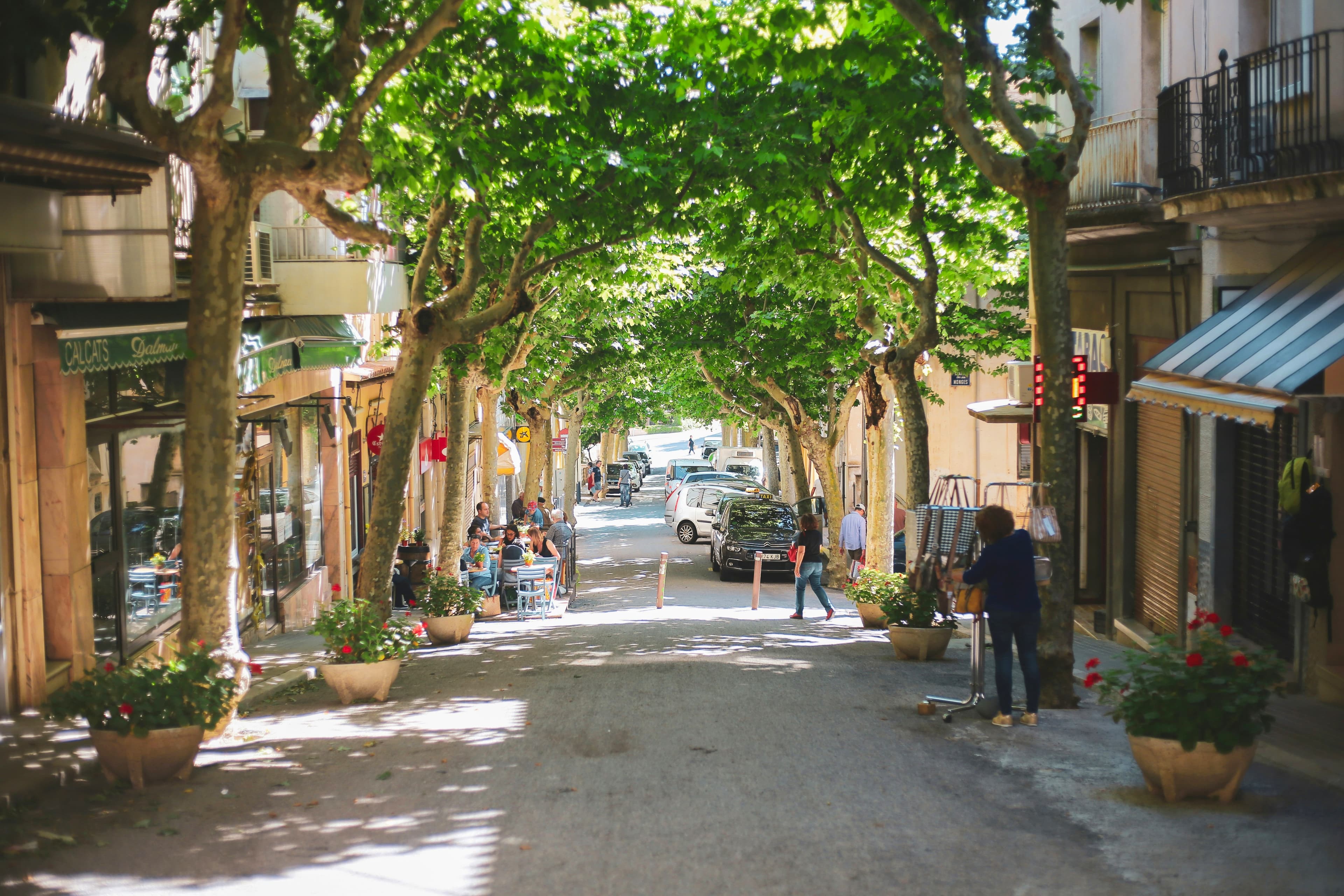 Calle arbolada del centro de Portbou, con terrazas y comercios a la sombra de los plátanos