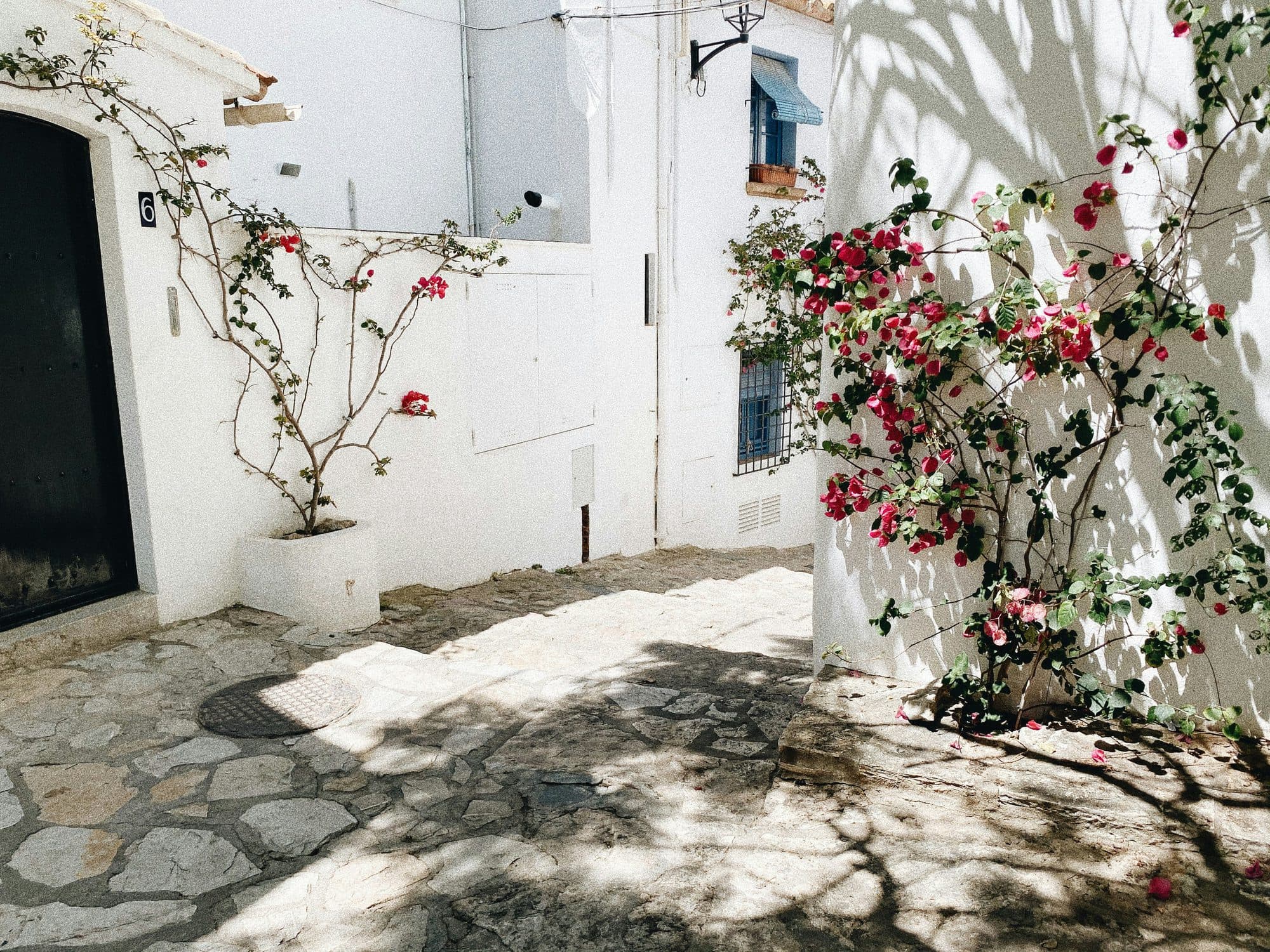 Una calle blanca de Calella de Palafrugell con buganvillas trepando por los muros