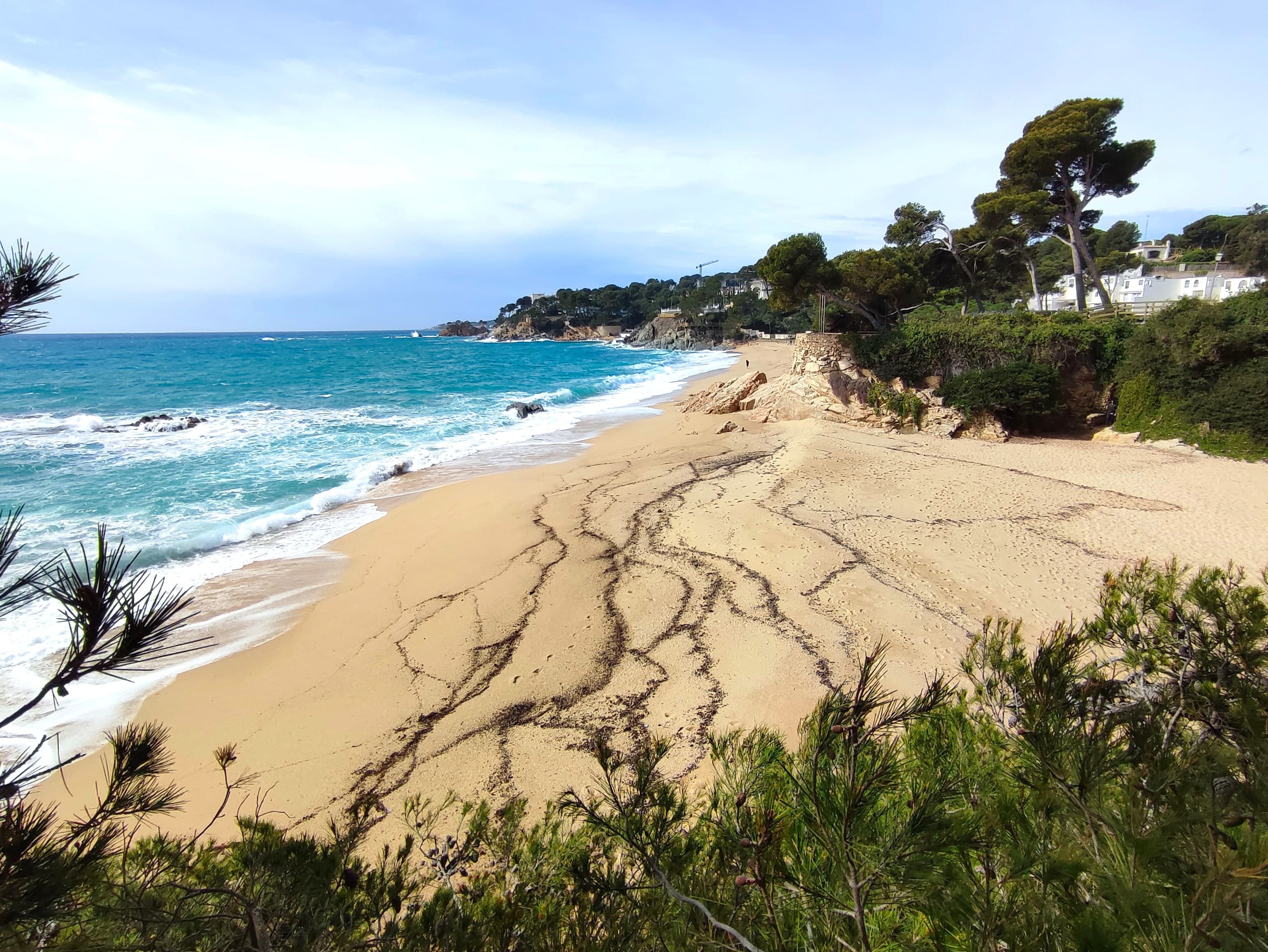 Una playa de arena dorada en Sant Antoni de Calonge, con el mar turquesa rompiendo y pinos enmarcando la orilla