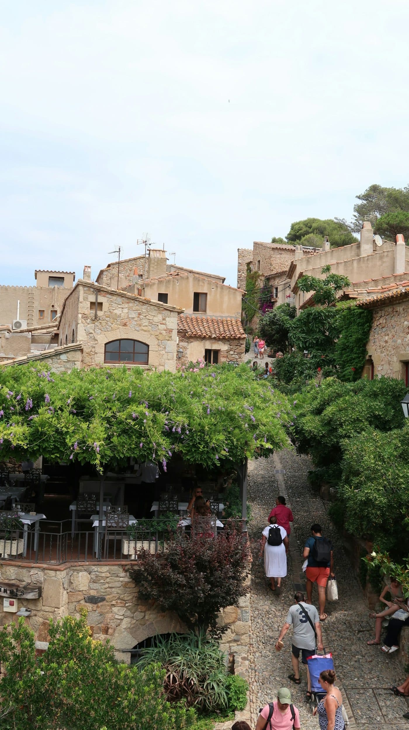Calle empedrada en cuesta de la Vila Vella de Tossa de Mar, entre casas de piedra y una terraza cubierta de glicinias