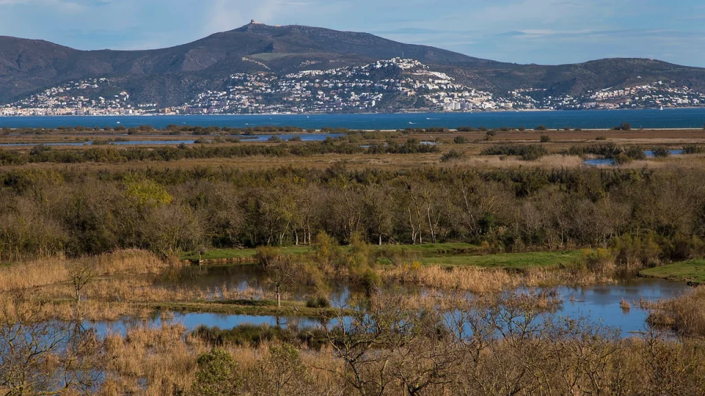 aiguamolls emporda